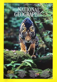 National Geographic圖片